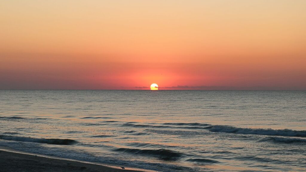 2018-08-25 05_25 Rumänien 223 EOS