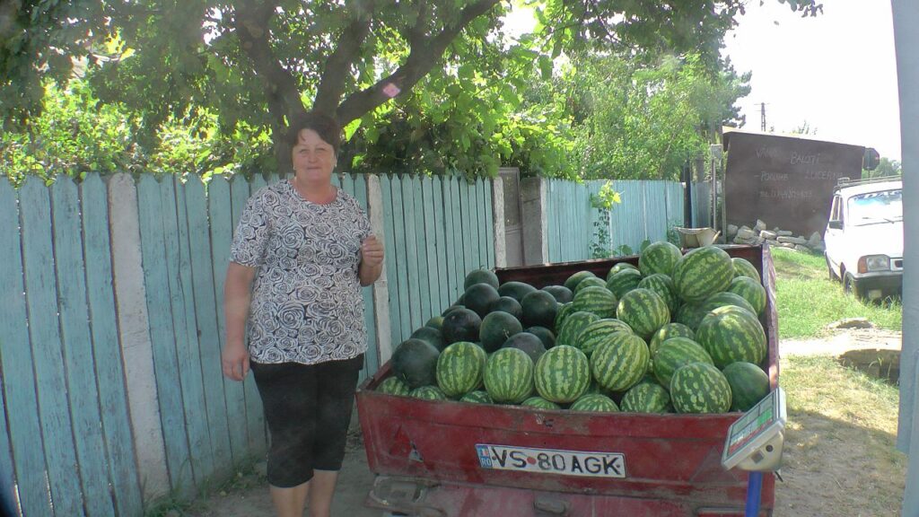 2018-08-27 11_28 Rumänien 241 P-Camcorder