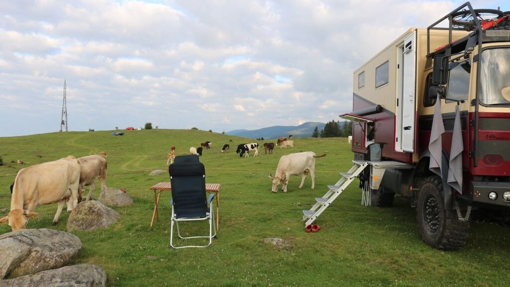 Schredder Rumänien Transalpina Camp 1 Kühe
